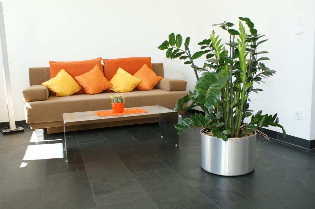 Haus Kibitz Διαμέρισμα Fieberbrunn Εξωτερικό φωτογραφία